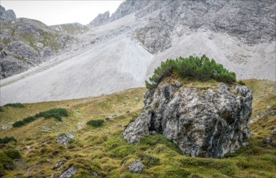 Melchior Castelli Fotografie