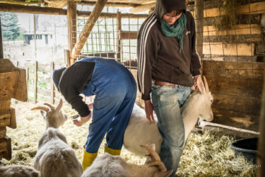 Melchior Castelli Fotografie