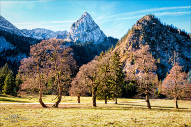 Melchior Castelli Fotografie