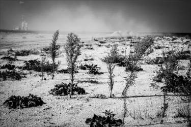Melchior Castelli Fotografie
